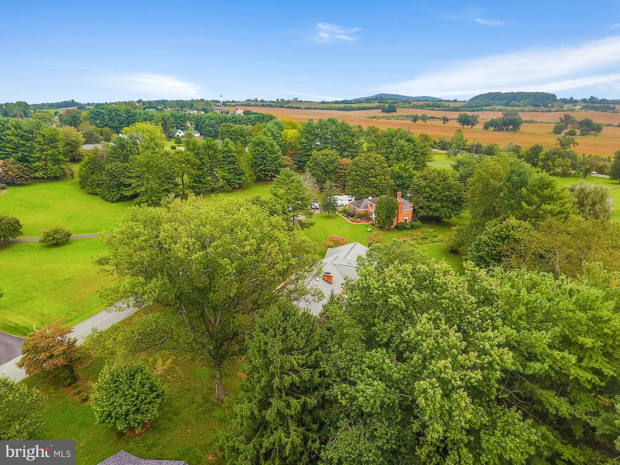 11502 Fox Hill Road Culpeper, VA 22701 - Photo 47 of 49 Private, peaceful setting