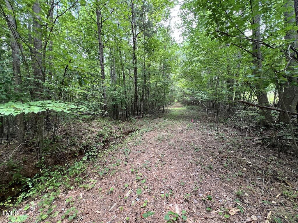 8 Peachtree Hills Road Spring Hope, NC 27882 - Photo 26 of 29 26