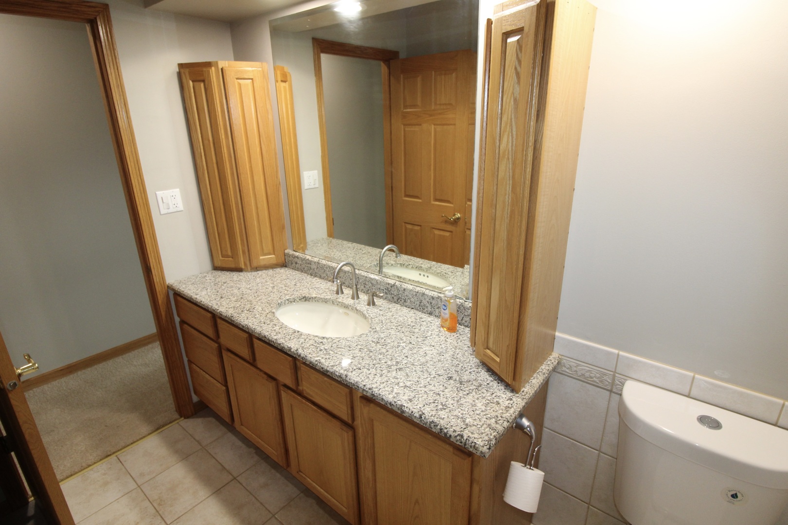 1505 Pheasant Run Road Harvard, IL 60033 - Photo 27 of 30 a bathroom with a granite countertop sink and a mirror
