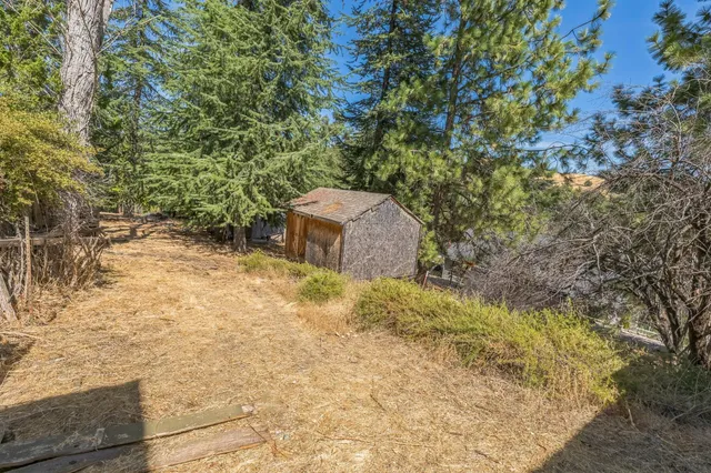a backyard of a house with a yard and shrubs