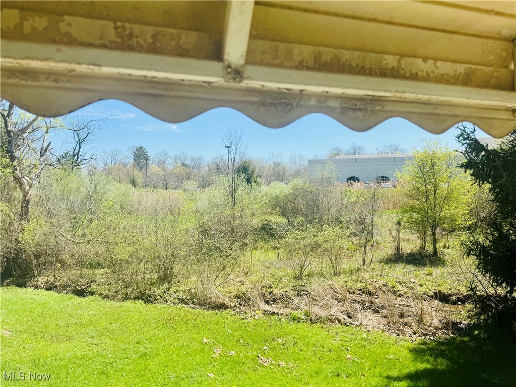 25911 Tryon Road Bedford, OH 44146 - Photo 16 of 49 View from Sunporch off Kitchen