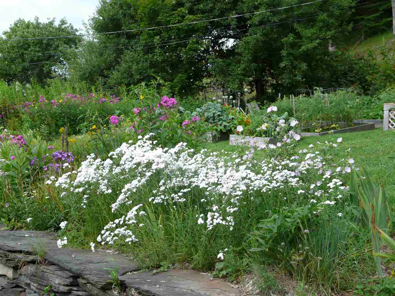 306 Maple Road Woodbury, VT 05650 - Photo 10 of 39