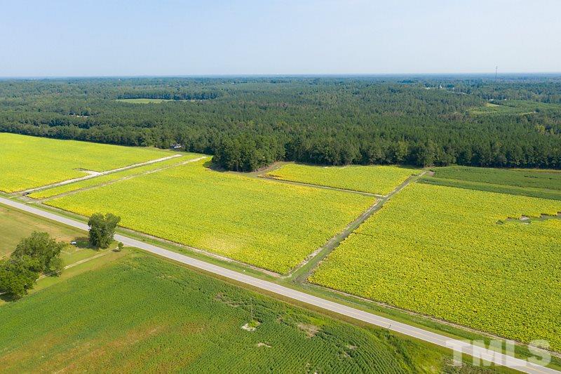 6 Josey Williams Road Erwin, NC 28339 - Photo 4 of 12 Gallery Image 4