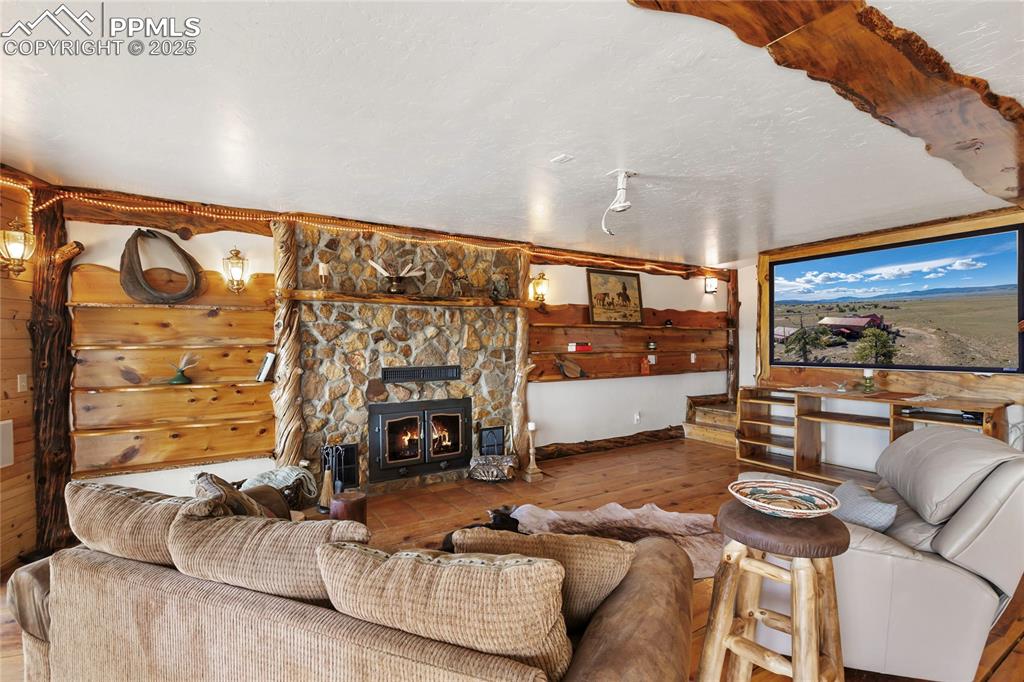 790 Tiara Road Lake George, CO 80827 - Photo 28 of 47 In walk-out basement