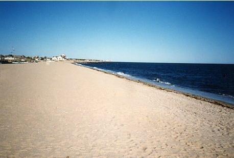 14 Pine Road West Dennis, MA 02670 - Photo 8 of 8 a view of an empty room