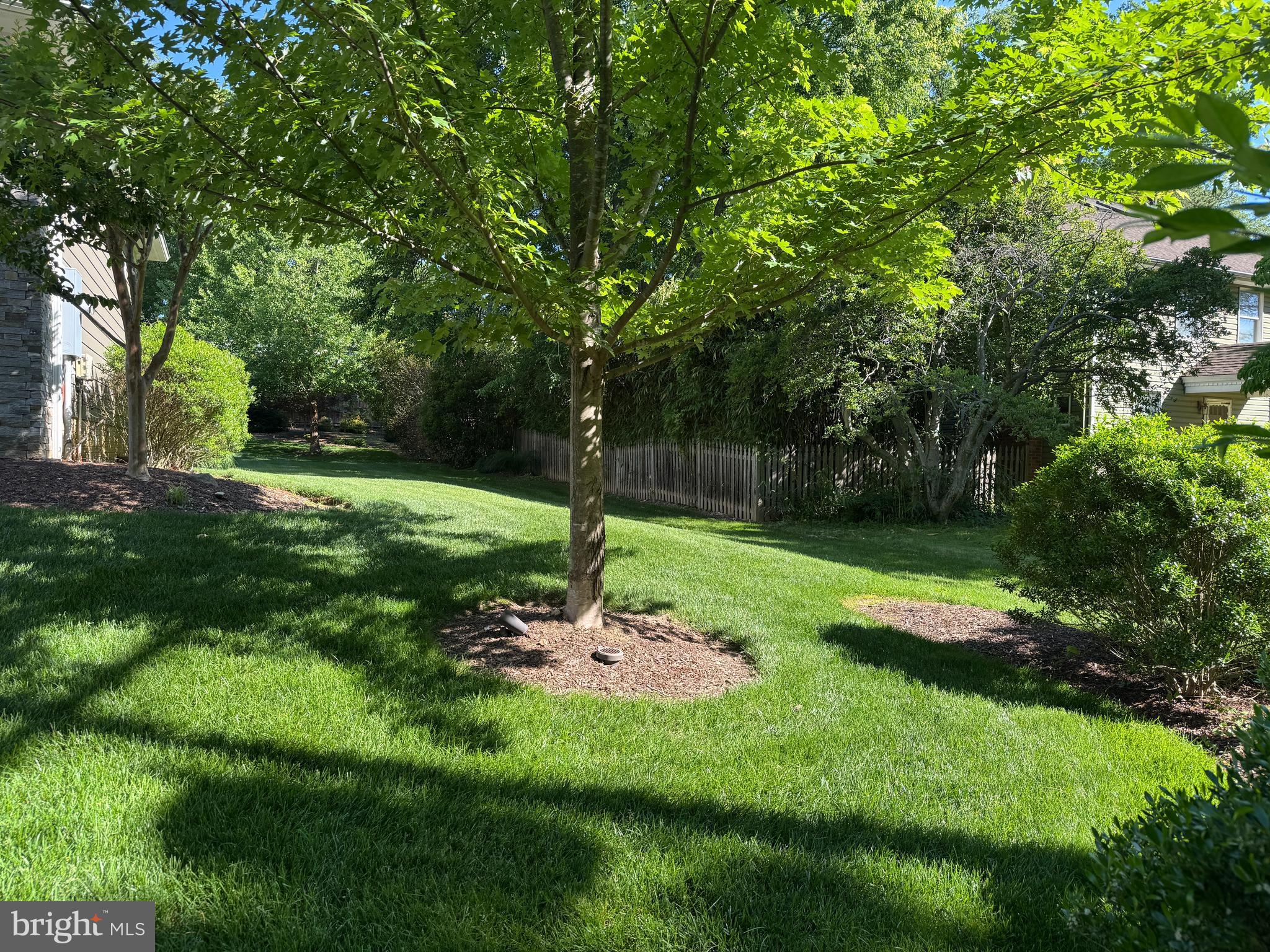 7702 Trammell Road Annandale, VA 22003 - Photo 11 of 68 a view of a park with a tree