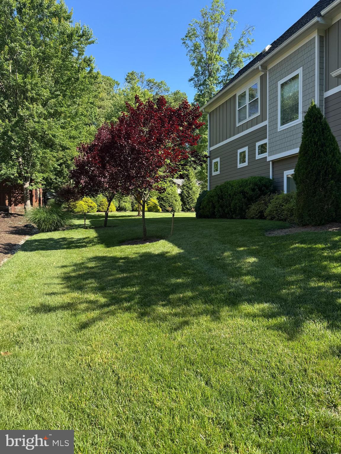 7702 Trammell Road Annandale, VA 22003 - Photo 9 of 68 a front view of a house with garden and trees