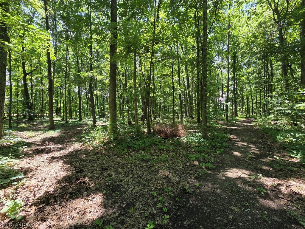 V/l - Poorman Road Vermilion, OH 44089 - Photo 2 of 2