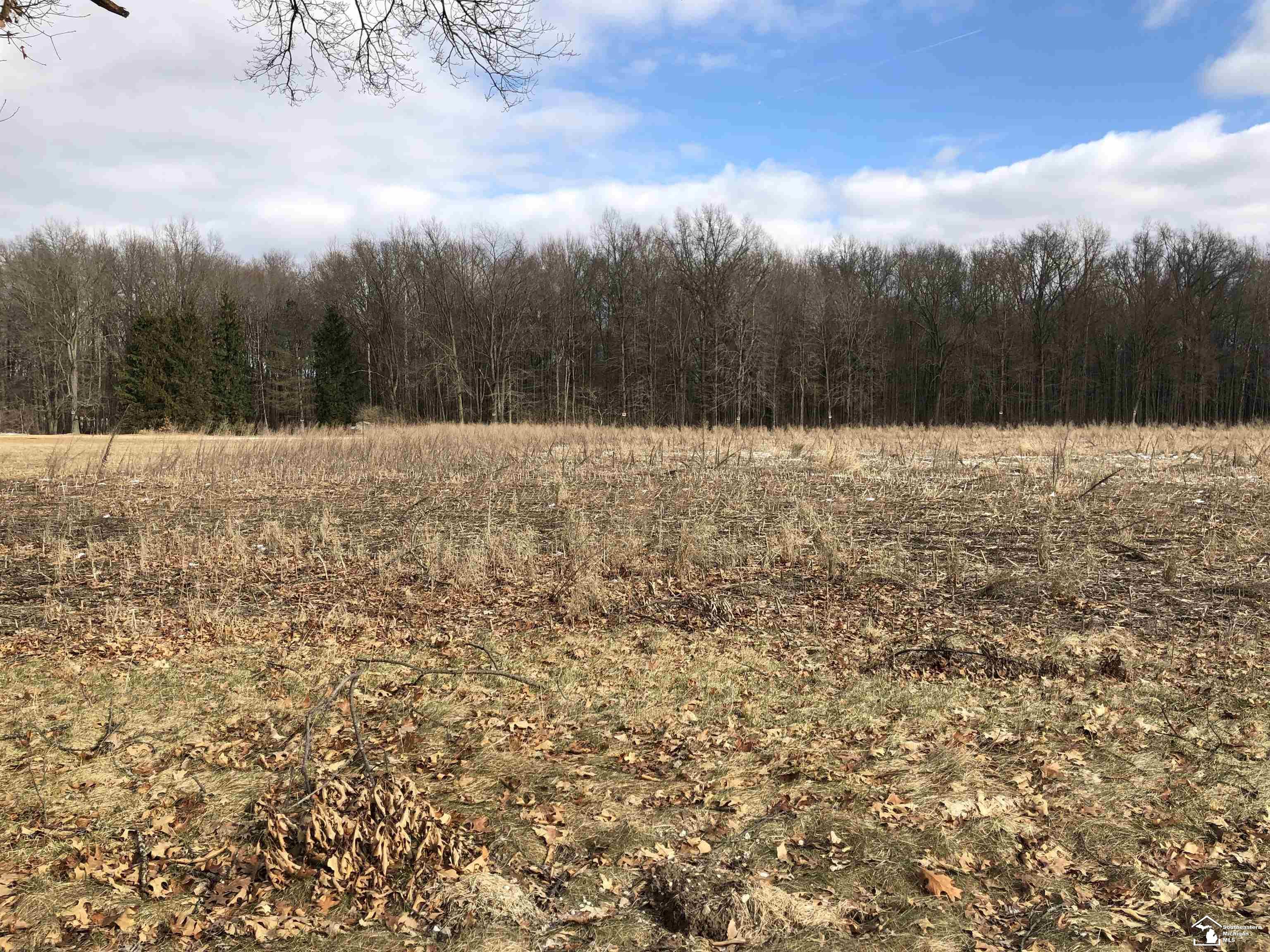 1 Townsend Road Maybee, MI 48159 - Photo 6 of 7