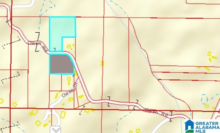 0 Owens Road Odenville, AL 35120 - Photo 1 of 2
