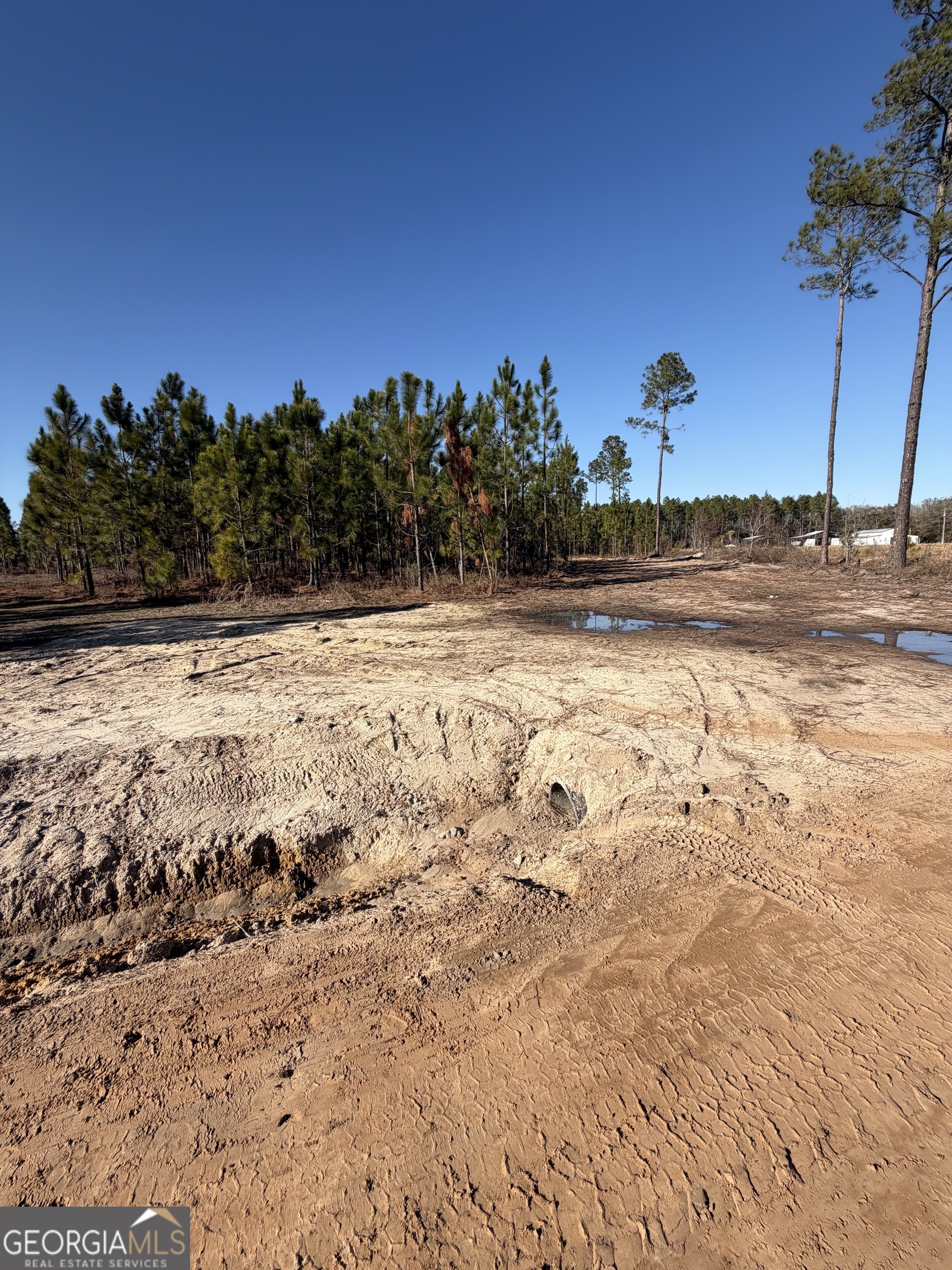 3587 Cathleen Drive Patterson, GA 31557 - Photo 3 of 5