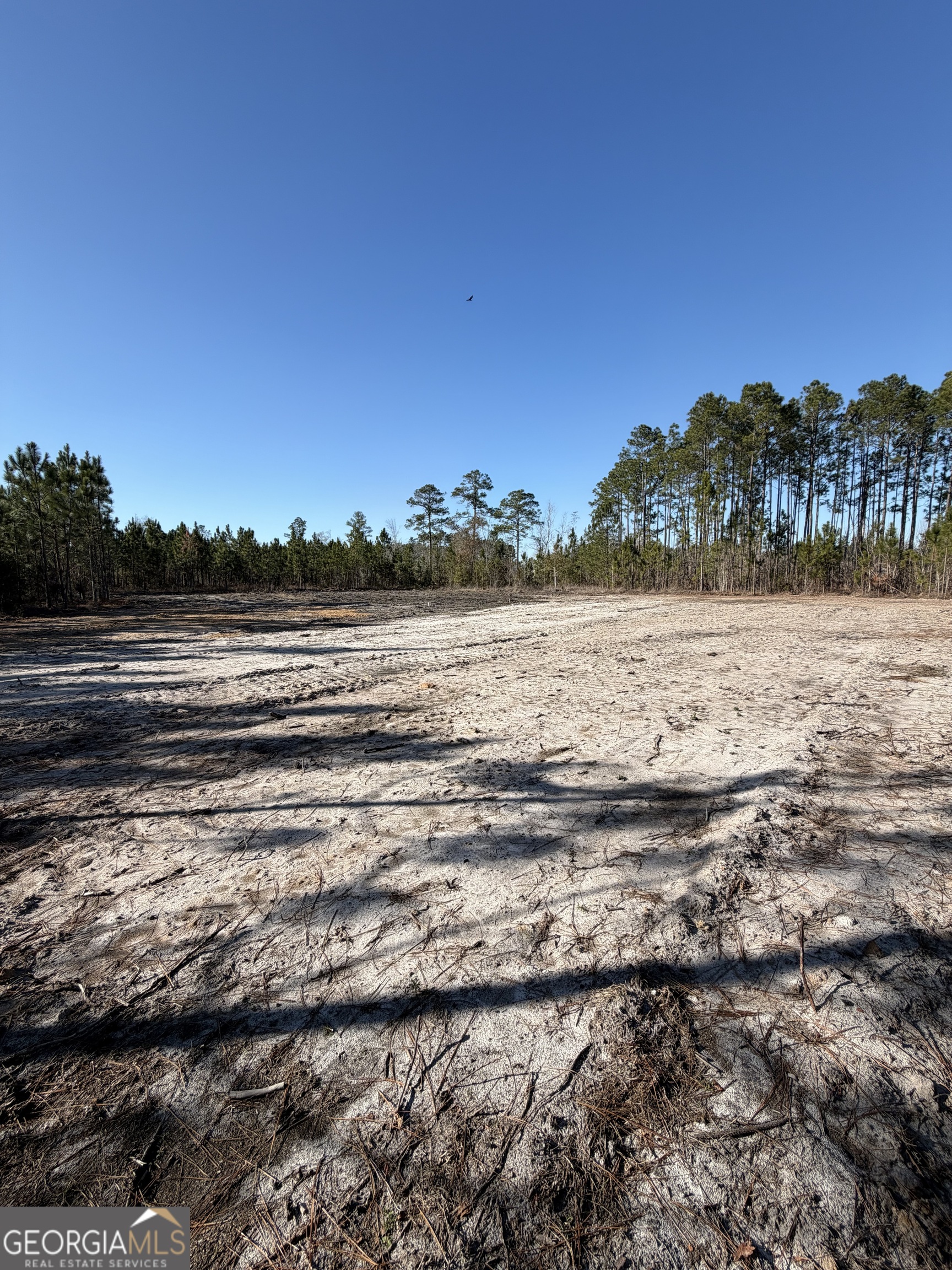 3587 Cathleen Drive Patterson, GA 31557 - Photo 4 of 5 a view of an ocean beach