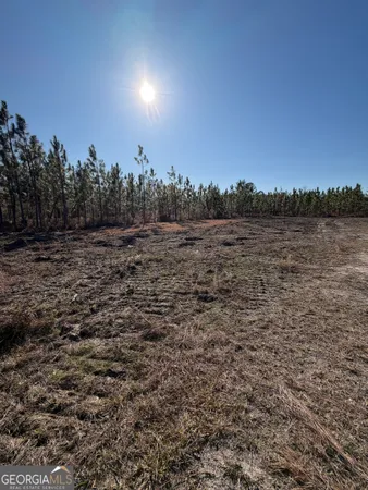 $175,110 | 3587 Cathleen Drive, Patterson, GA 31557