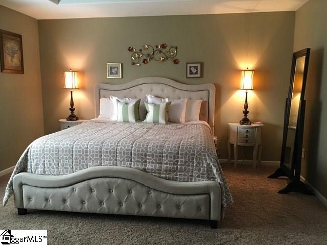 112 Mt Frontenac Way Easley, SC 29642 - Photo 9 of 24 Gallery Image 9