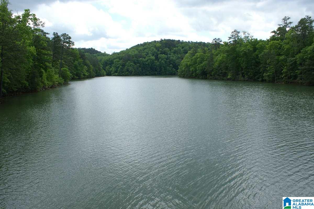 417 Paradise Trail Arley, AL 35541 - Photo 41 of 46