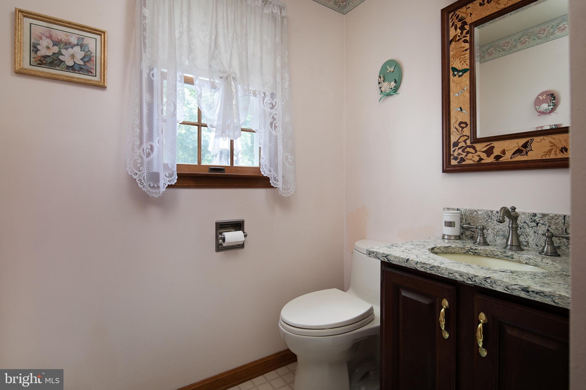4287 Phoenix Road Bealeton, VA 22712 - Photo 31 of 41 First Floor Powder Room
