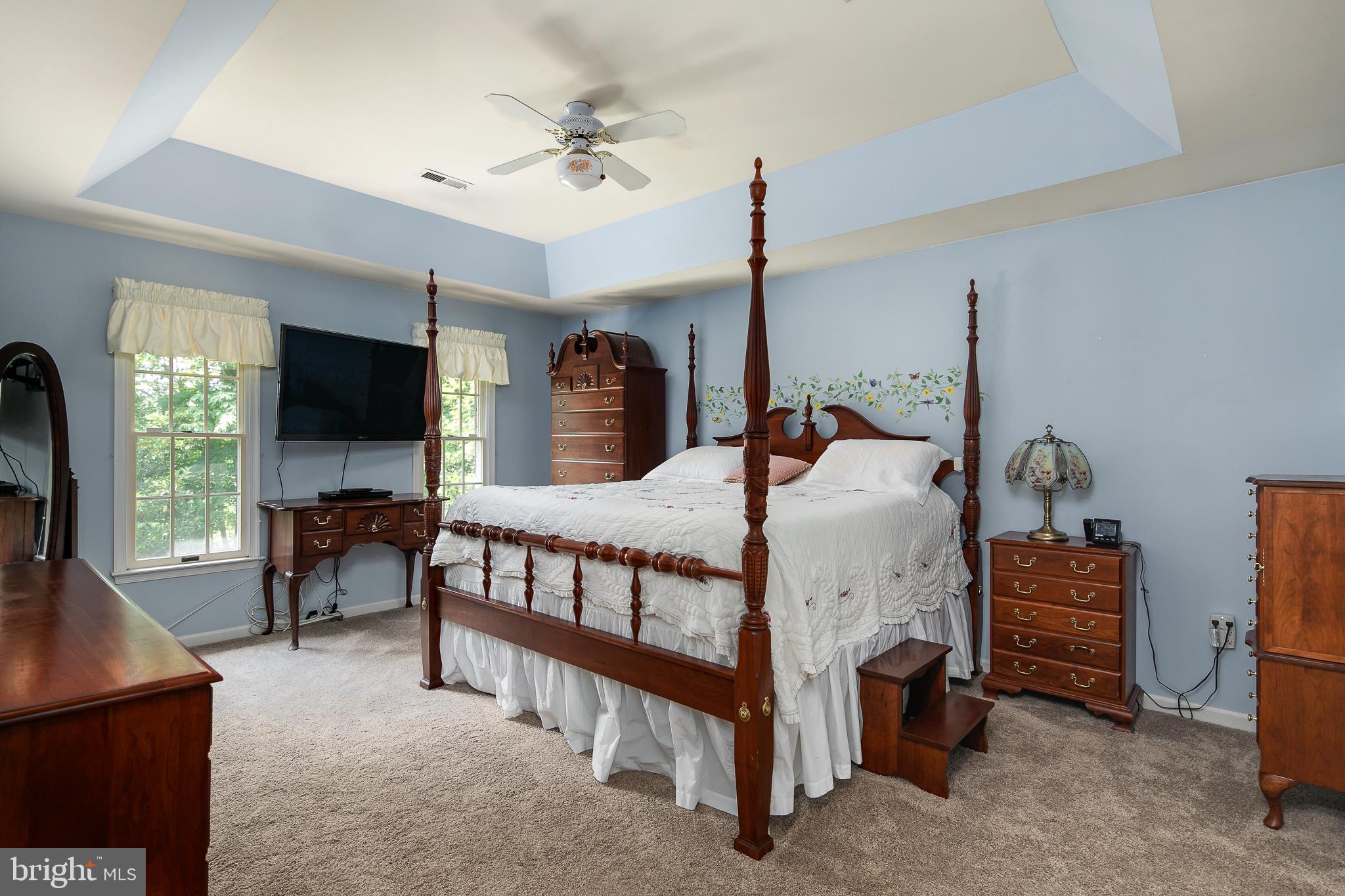 4287 Phoenix Road Bealeton, VA 22712 - Photo 32 of 41 Owners Suite with Tray Ceiling