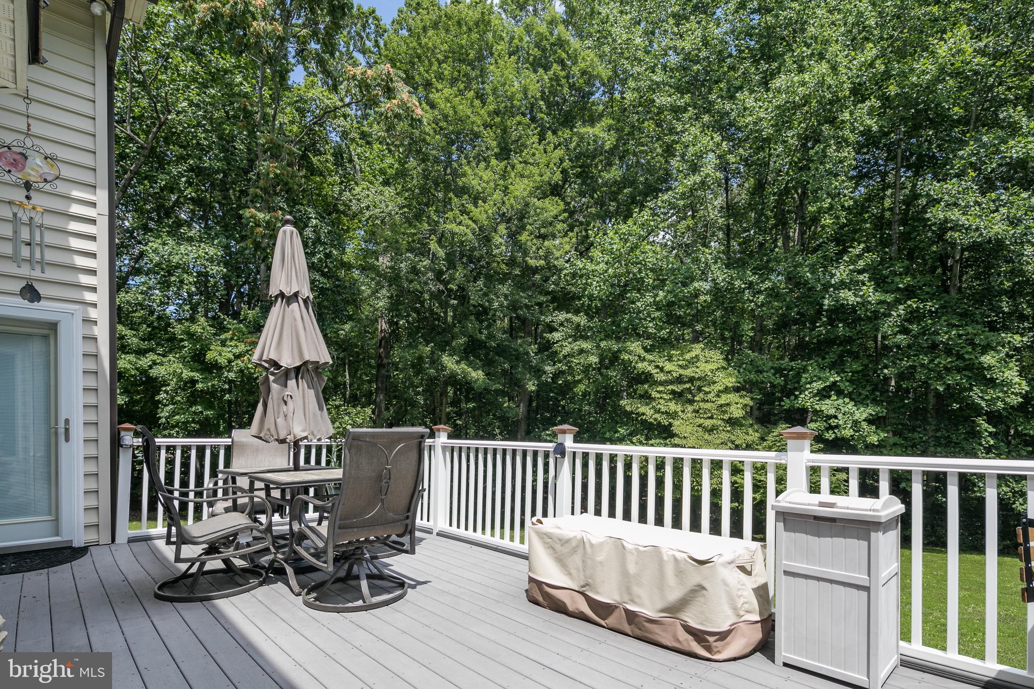 4287 Phoenix Road Bealeton, VA 22712 - Photo 7 of 41 Trex Decking