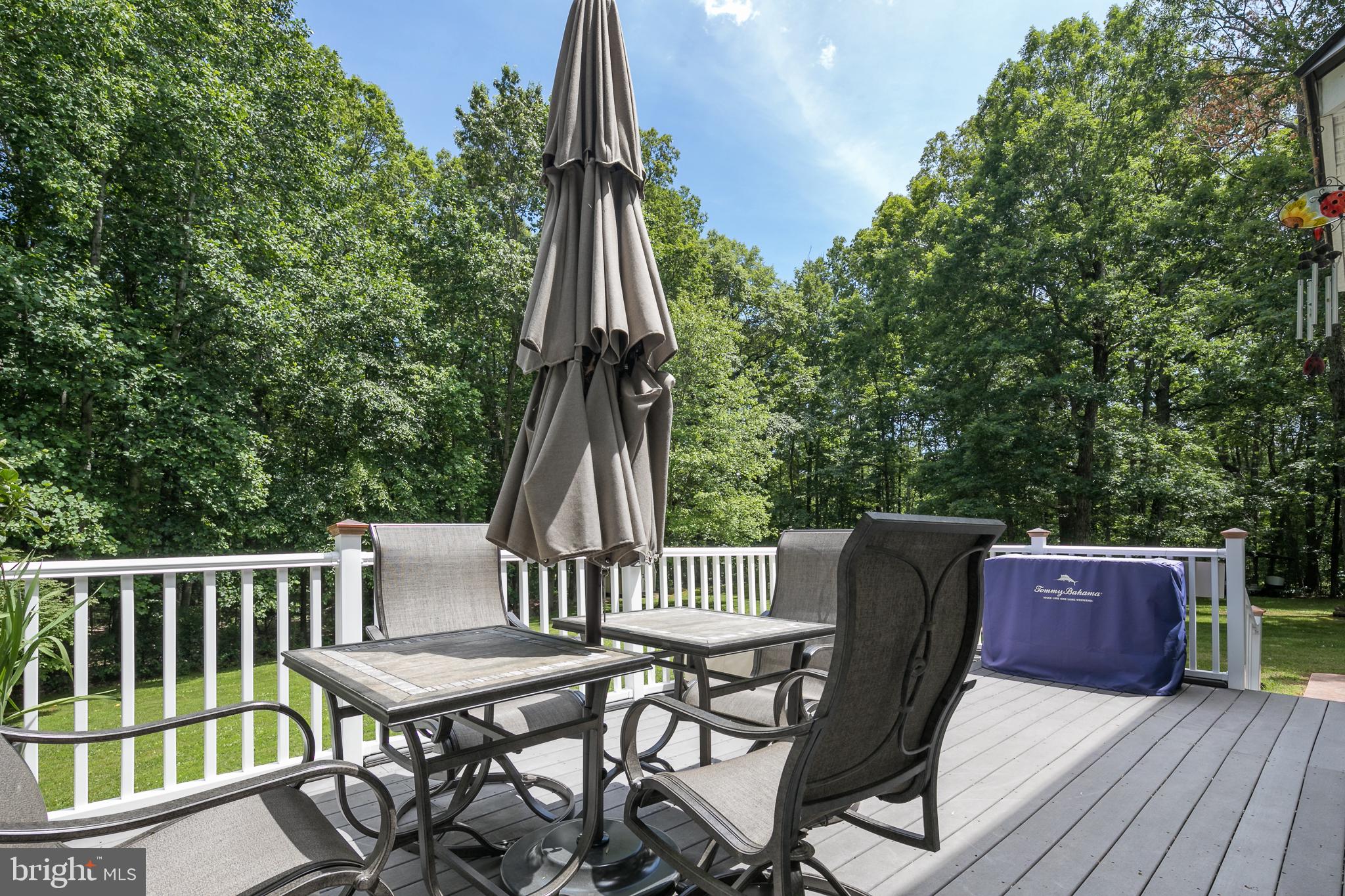 4287 Phoenix Road Bealeton, VA 22712 - Photo 8 of 41 Deck with room for entertaining