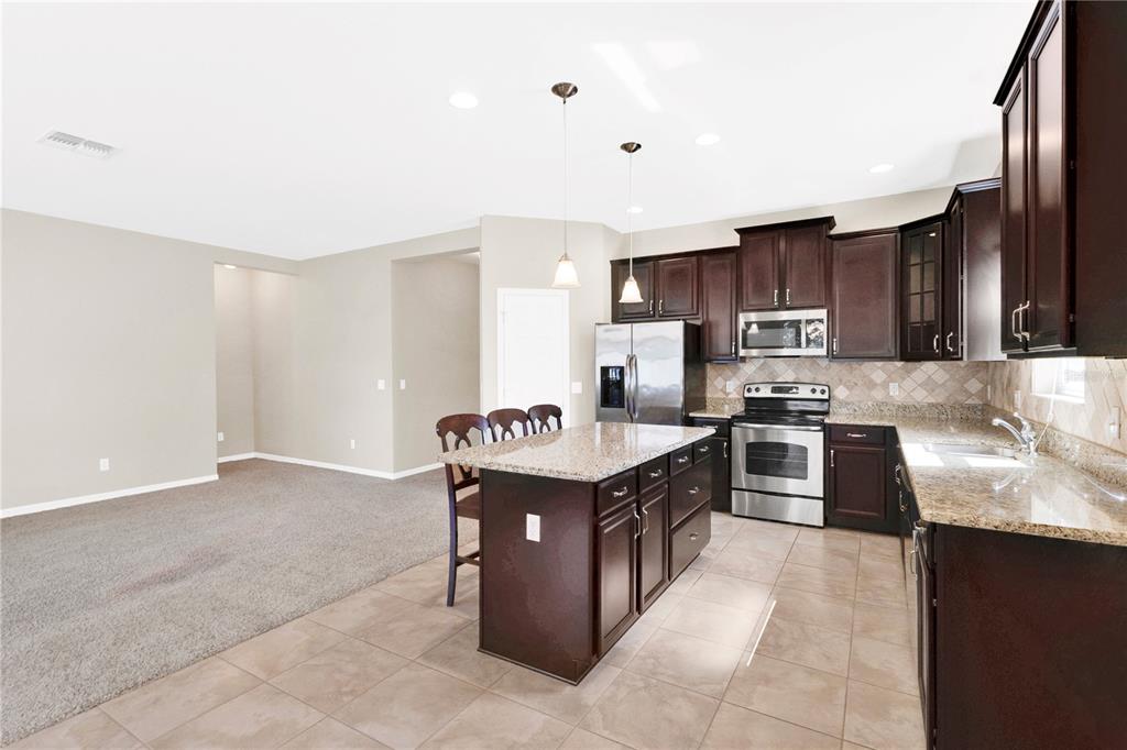 3503 Starcatcher Street St. Cloud, FL 34772 - Photo 4 of 27