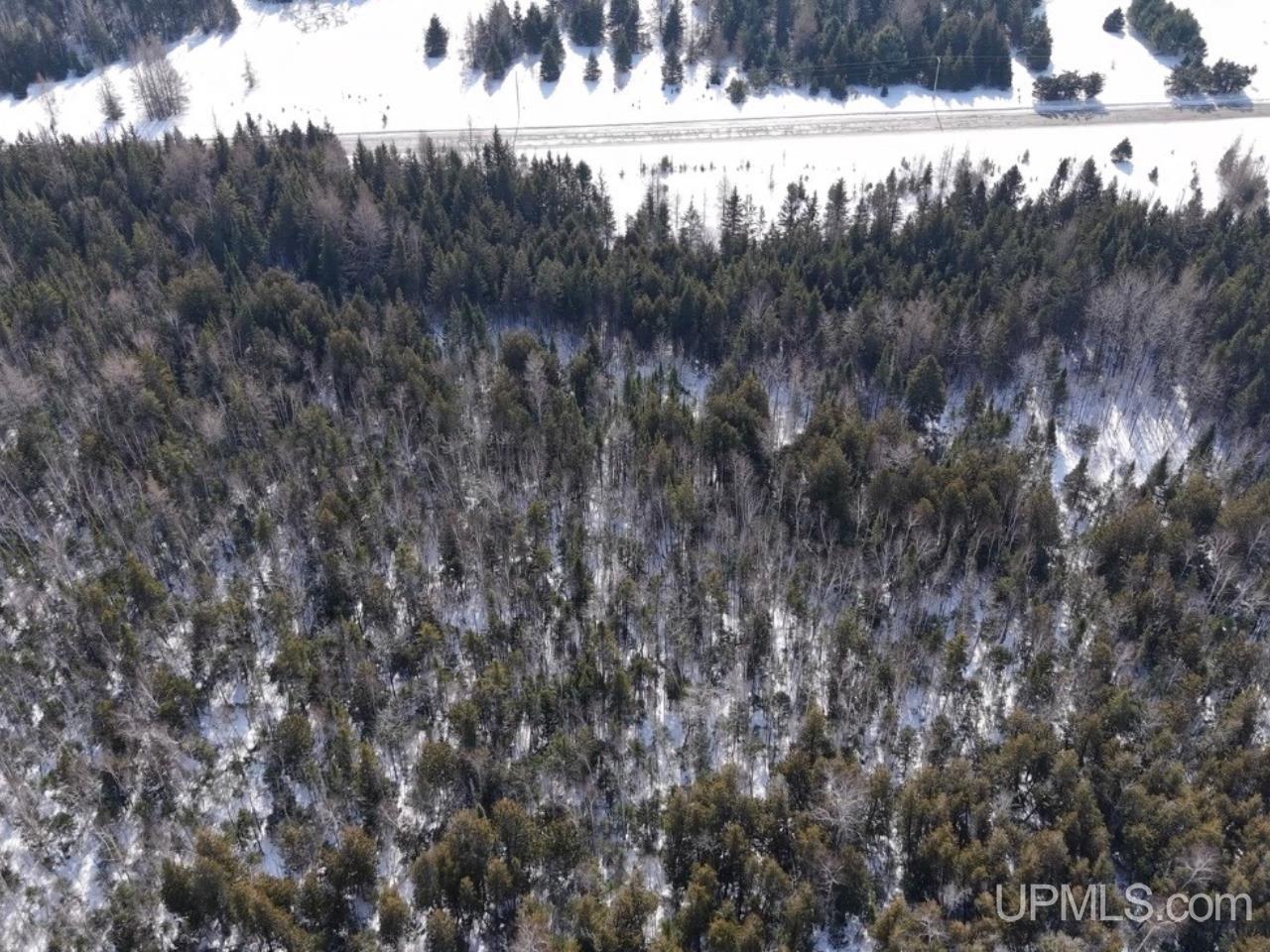 W 80-acres River Road Gulliver, MI 49840 - Photo 24 of 29