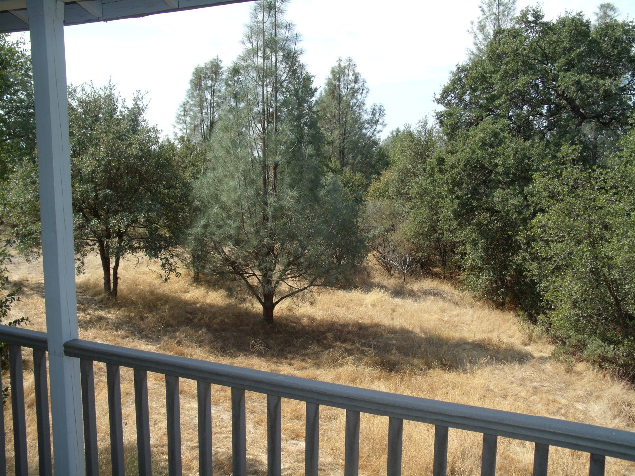 10407 Ryan Hill Road Redding, CA 96003 - Photo 23 of 25 View from Deck