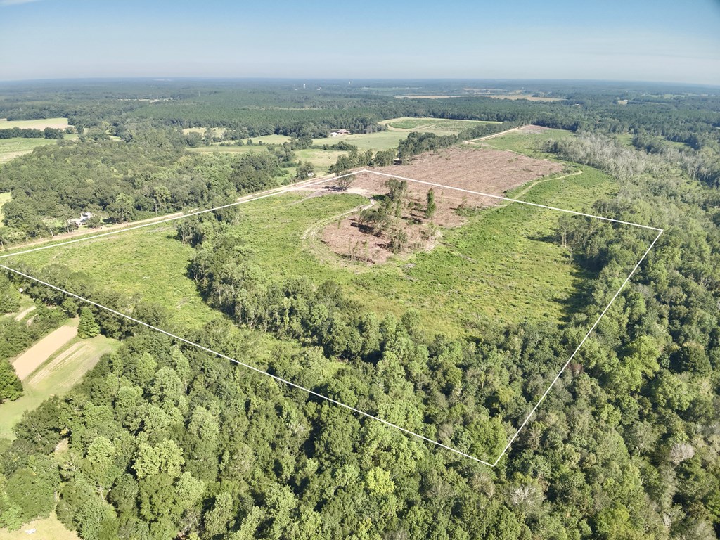 Undisclosed Address Slocomb, AL 36375 - Photo 9 of 23