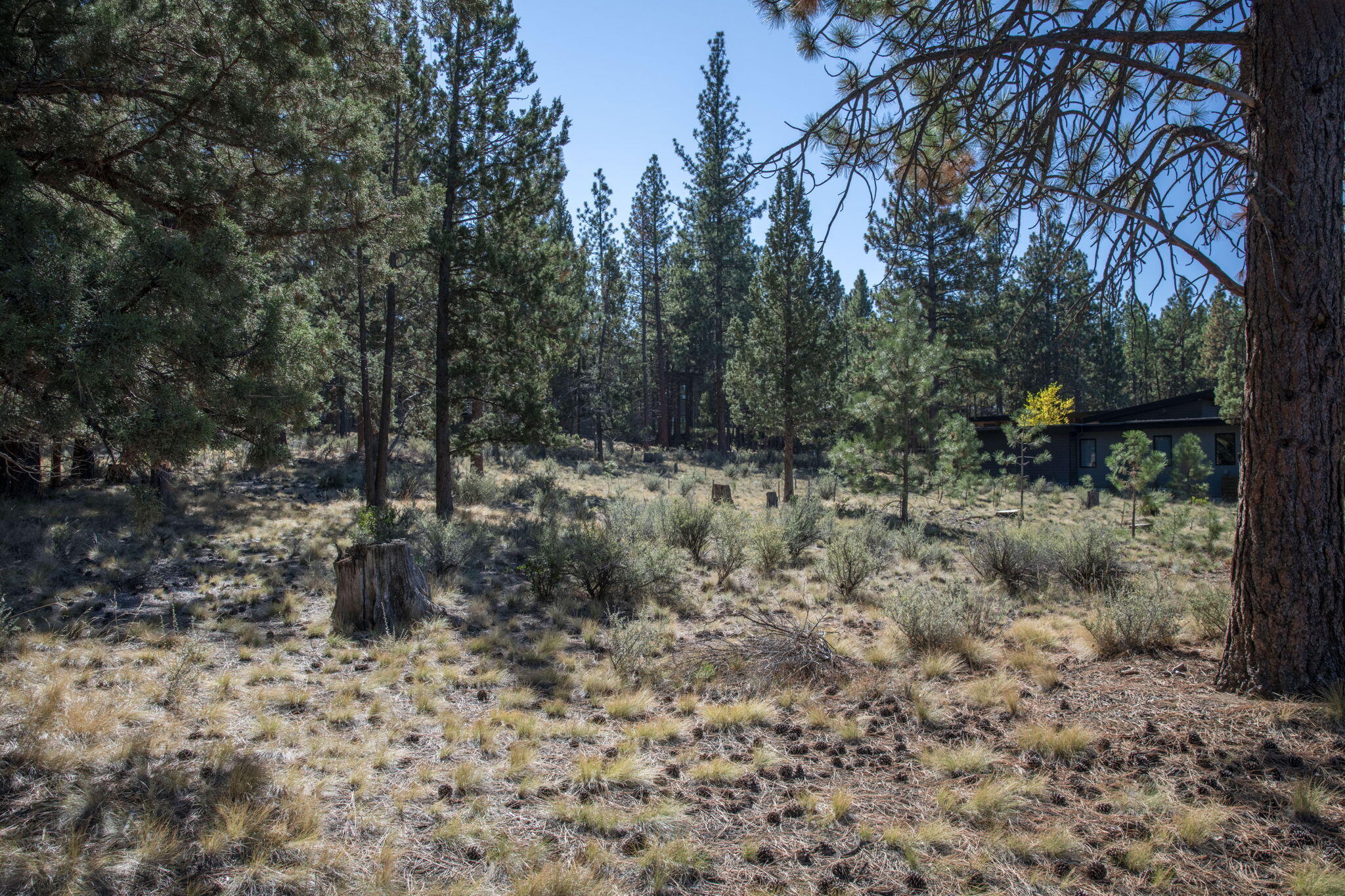 61482 Meeks Trail Bend, OR 97702 - Photo 5 of 11 61482 Meeks Trl