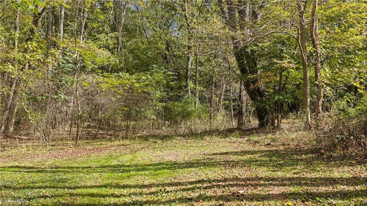 6387 Hampsher Road Clinton, OH 44216 - Photo 7 of 11 Gallery Image 7