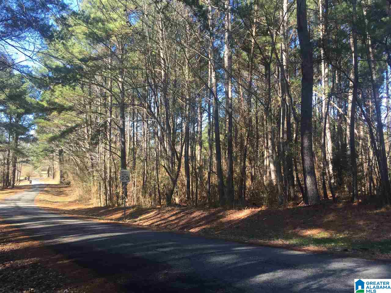 8095 Fishing Camp Road, Unit 36 001 Mulga, AL 35118 - Photo 2 of 10