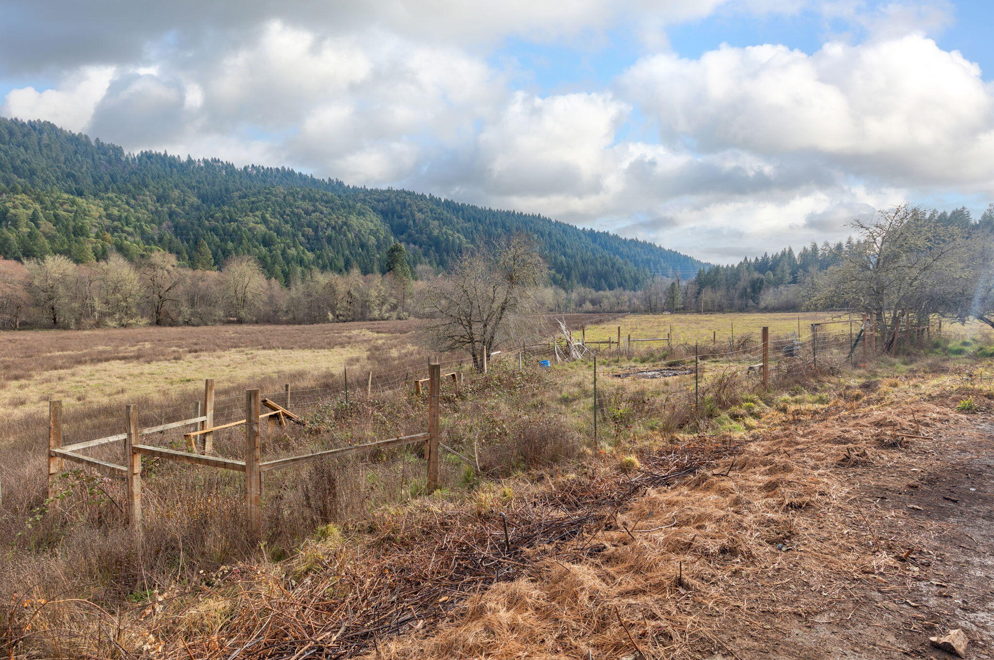 377 Fir Point Lane Glendale, OR 97442 - Photo 43 of 54 18-web-or-mls-377-fir-point-ln