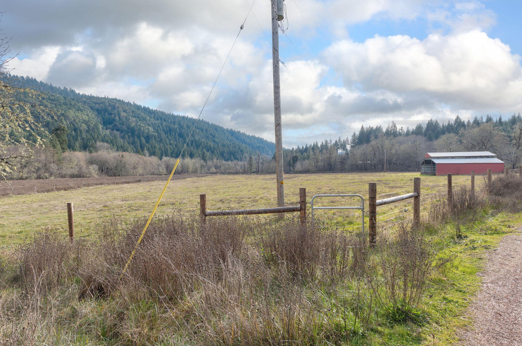 377 Fir Point Lane Glendale, OR 97442 - Photo 9 of 54 21-web-or-mls-377-fir-point-ln