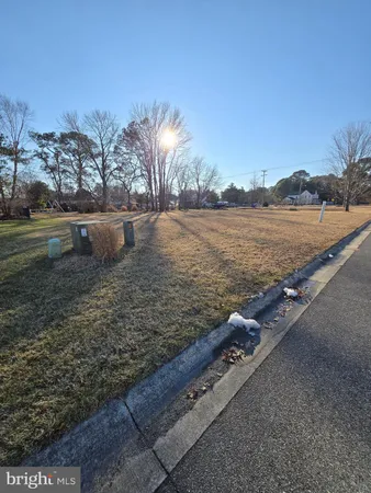 a view of a lake from a yard