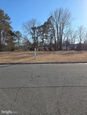 a view of a yard with a trees