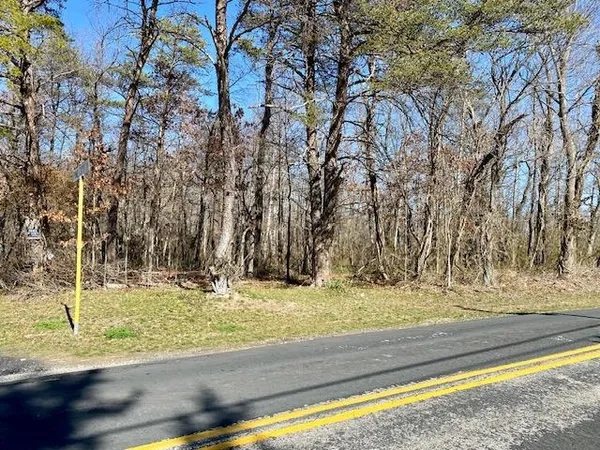 a view of outdoor space with lots of trees