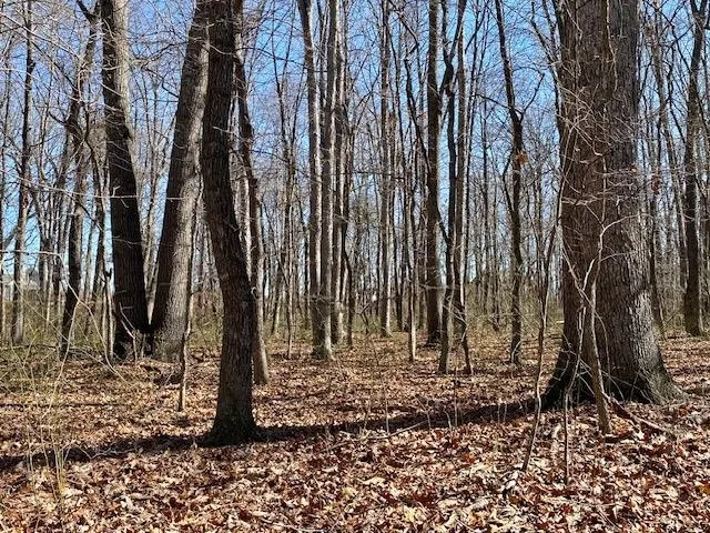 a view of swimming pool with an outdoor space