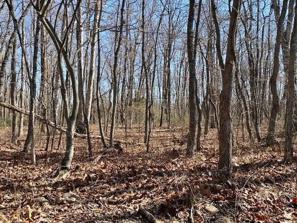 a view of a backyard of the house