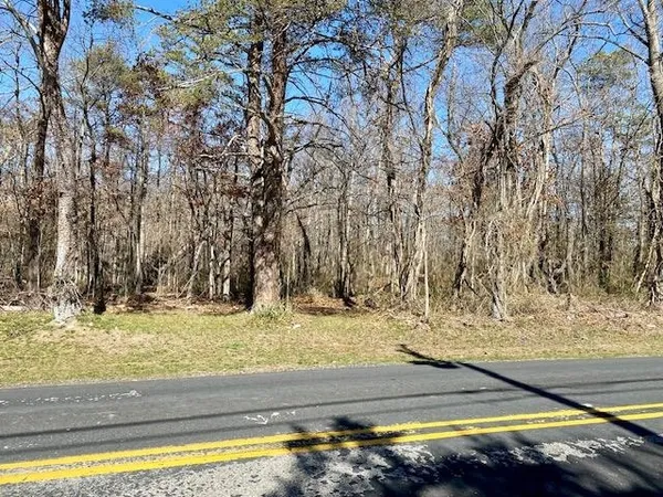 a view of a house with snow on the road