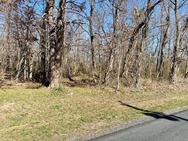 $125,000 | Tbd Howardsville Turnpike, Stuarts Draft, VA 24477