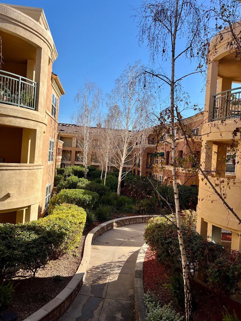 1310 Saddle Rack Street, Unit 347 San Jose, CA 95126 - Photo 31 of 42 a view of a house with a yard