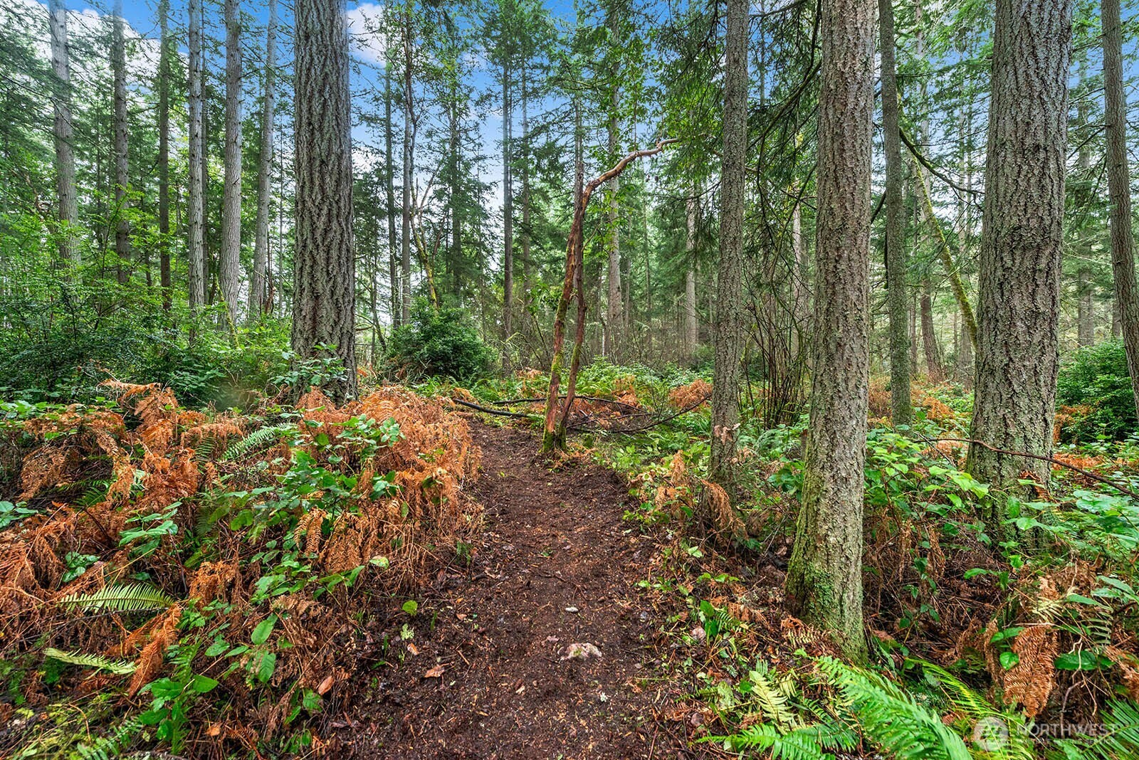 0 Southwest 220th Street Vashon, WA 98070 - Photo 11 of 22