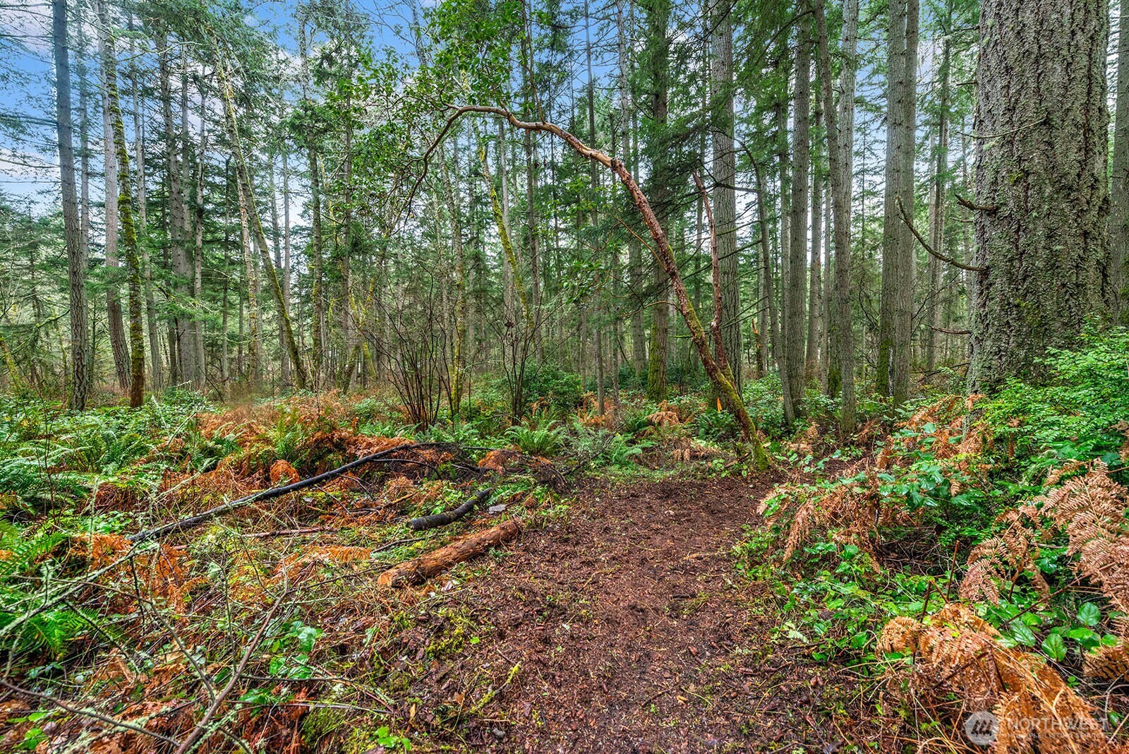 0 Southwest 220th Street Vashon, WA 98070 - Photo 13 of 22 a view of outdoor space and green space