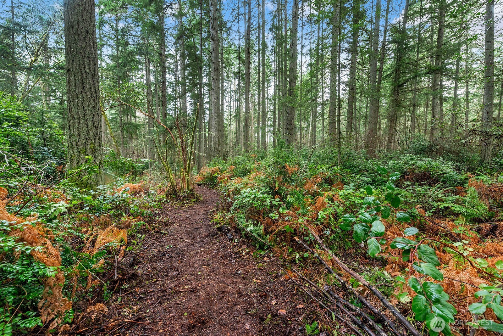 0 Southwest 220th Street Vashon, WA 98070 - Photo 14 of 22 a view of outdoor space and green space