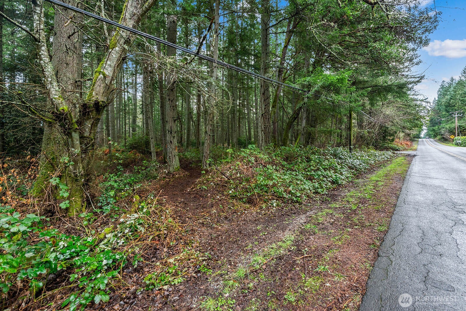 0 Southwest 220th Street Vashon, WA 98070 - Photo 18 of 22 a large yard with lots of green space and trees