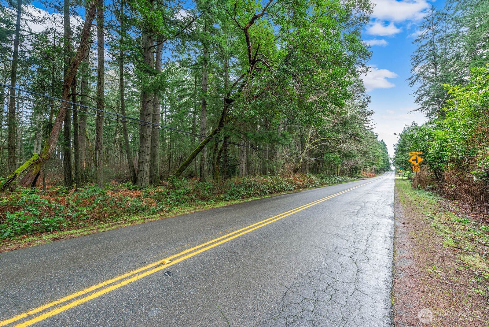 0 Southwest 220th Street Vashon, WA 98070 - Photo 19 of 22 a view of a garden