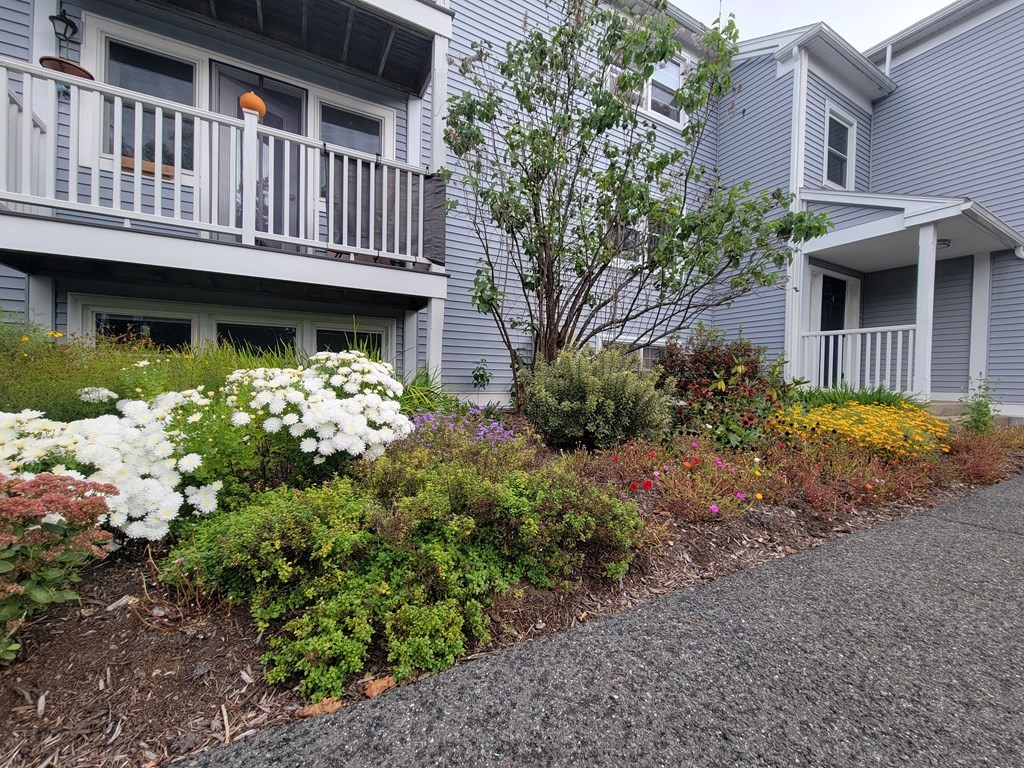 46 Evergreen Road, Unit 210 Leeds, MA 01053 - Photo 2 of 34 a front view of a house with garden