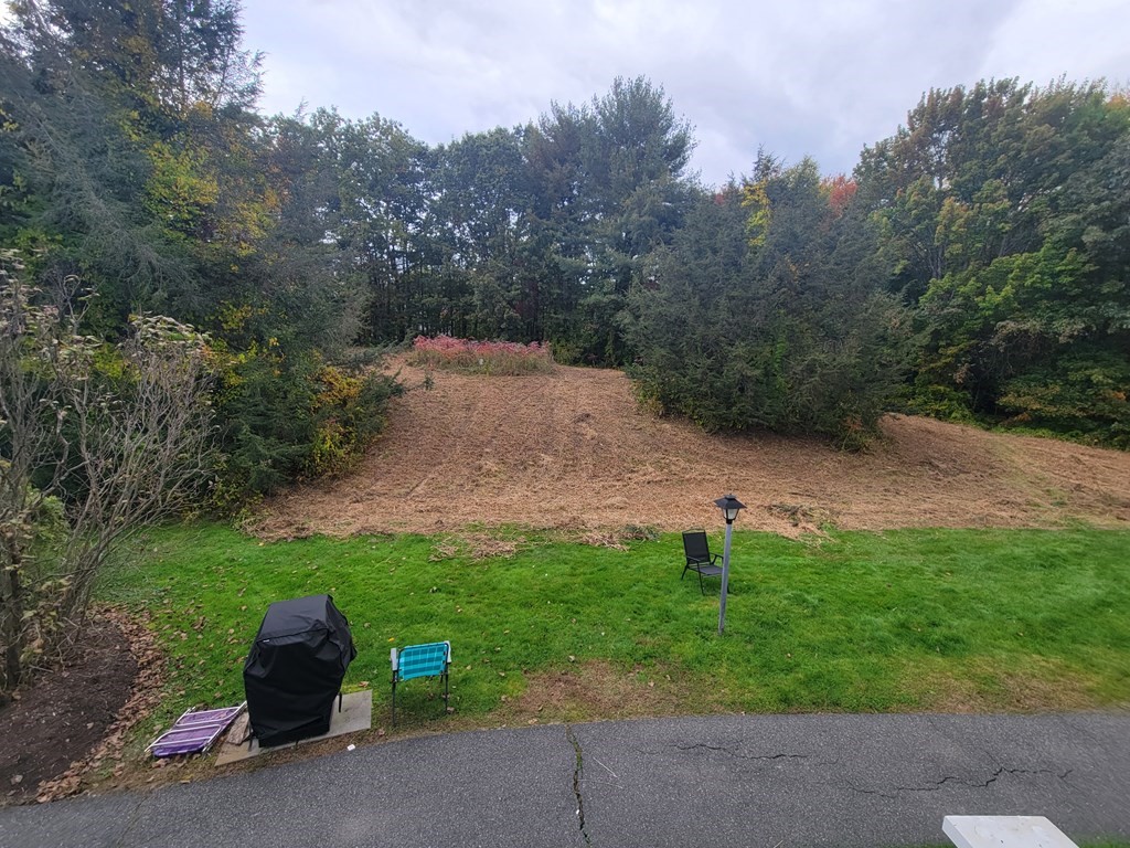 46 Evergreen Road, Unit 210 Leeds, MA 01053 - Photo 5 of 34 a view of outdoor space and yard