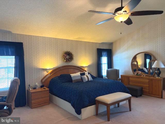 28 Trapper Road Sewell, NJ 08080 - Photo 30 of 59 Primary bedroom w/vaulted ceiling