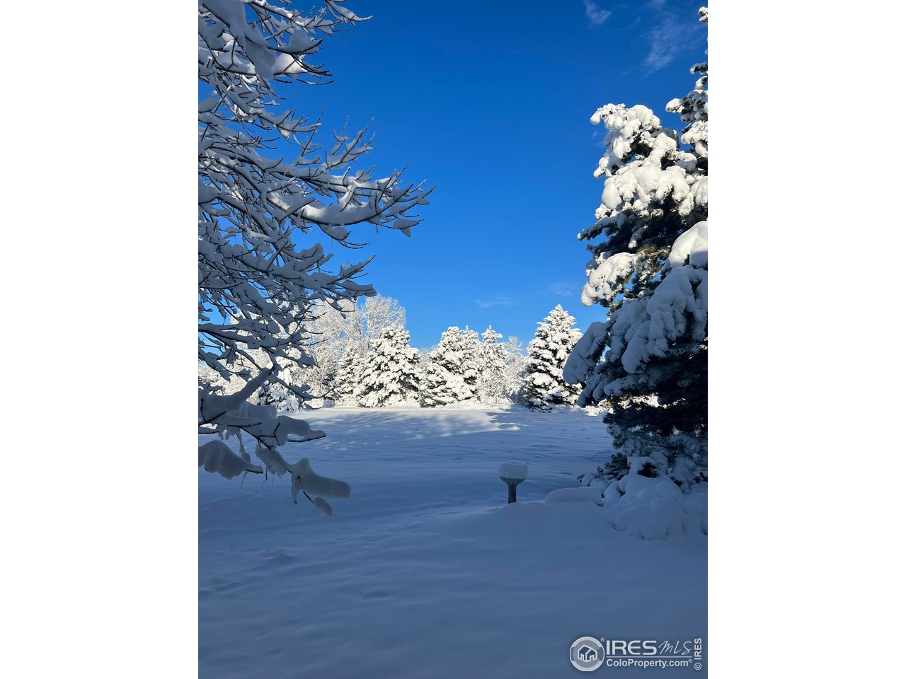 1695 Westward Drive Lafayette, CO 80026 - Photo 36 of 40 View from back