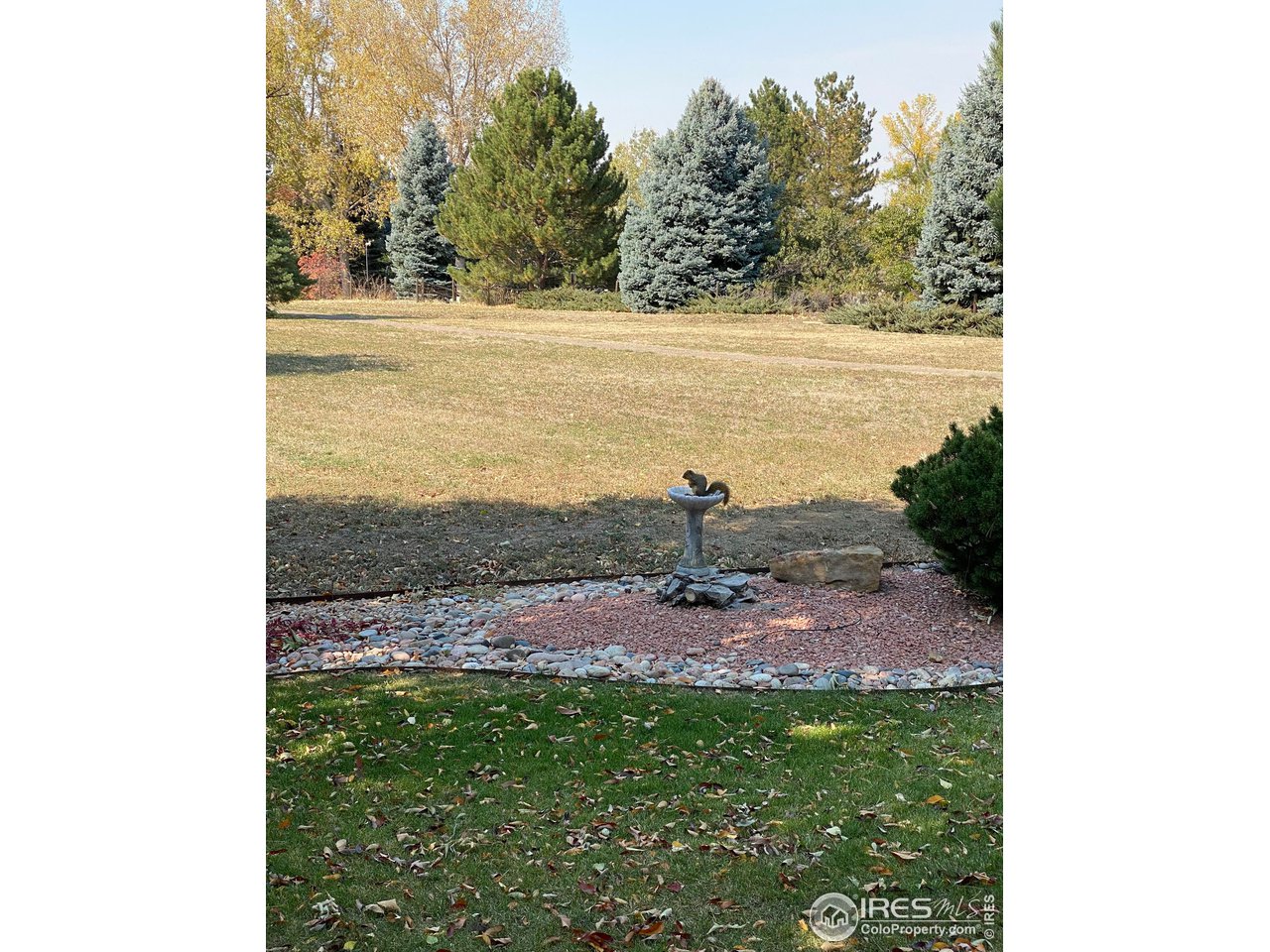 1695 Westward Drive Lafayette, CO 80026 - Photo 37 of 40 View in back in fall